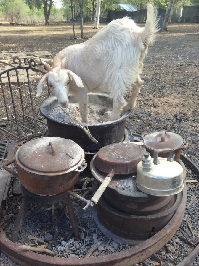 Corella Creek Country Farm Stay ネリア エクステリア 写真